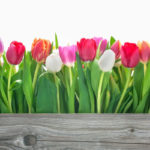 image of spring flowers depicting spring car maintenance