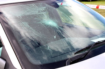 tamaqua pa windshield replacement service