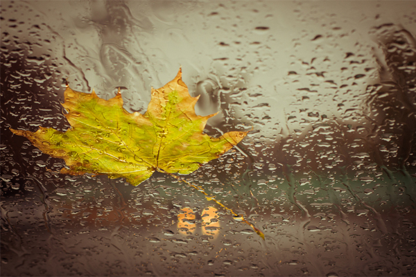 driving in the fall season