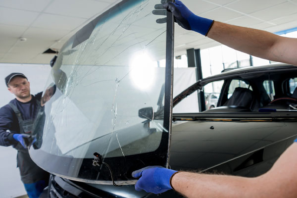 windshield replacement for car